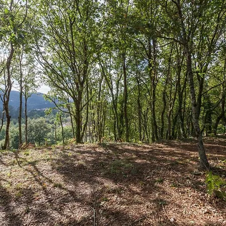 Πανσιόν Conheca O Minho E Descanse Em Plena Natureza. Sinta-se Em Casa.